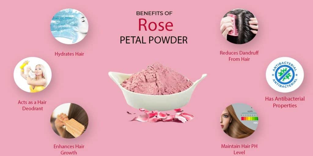 Benefits Of Rose Powder For Hair
