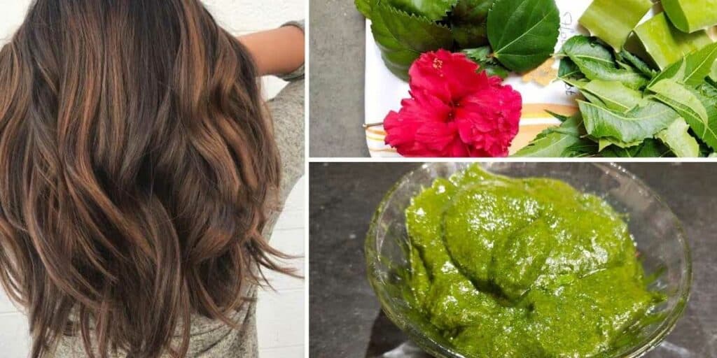 Neem leaves and Hibiscus For Hair Growth