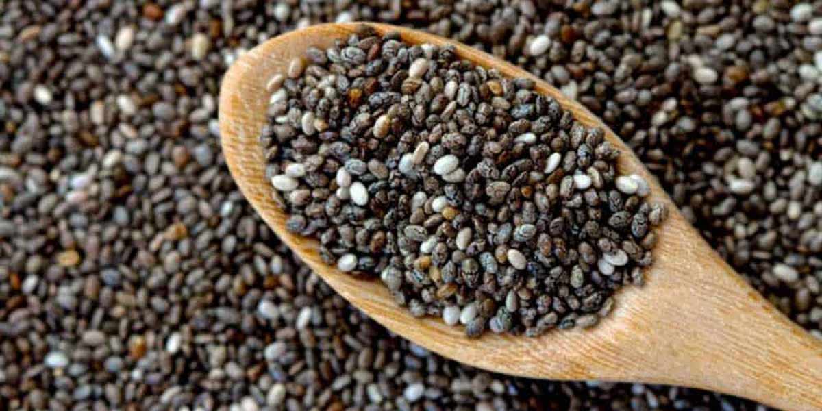 Chia Seeds Benefits for Hair And Skin